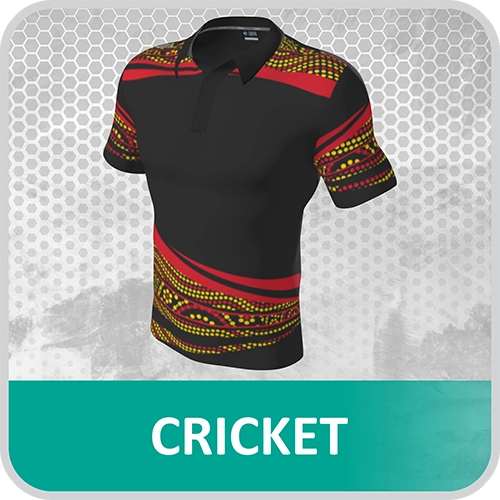 Indigenous Cricket
